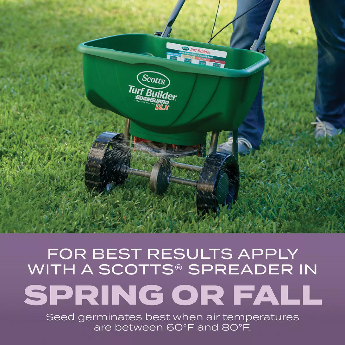 Scotts Turf Builder 2.4 Lb. 200 Sq. Ft. Perennial Ryegrass Mix Grass Seed, Fertilizer, and Soil Improver Combination - photo 8