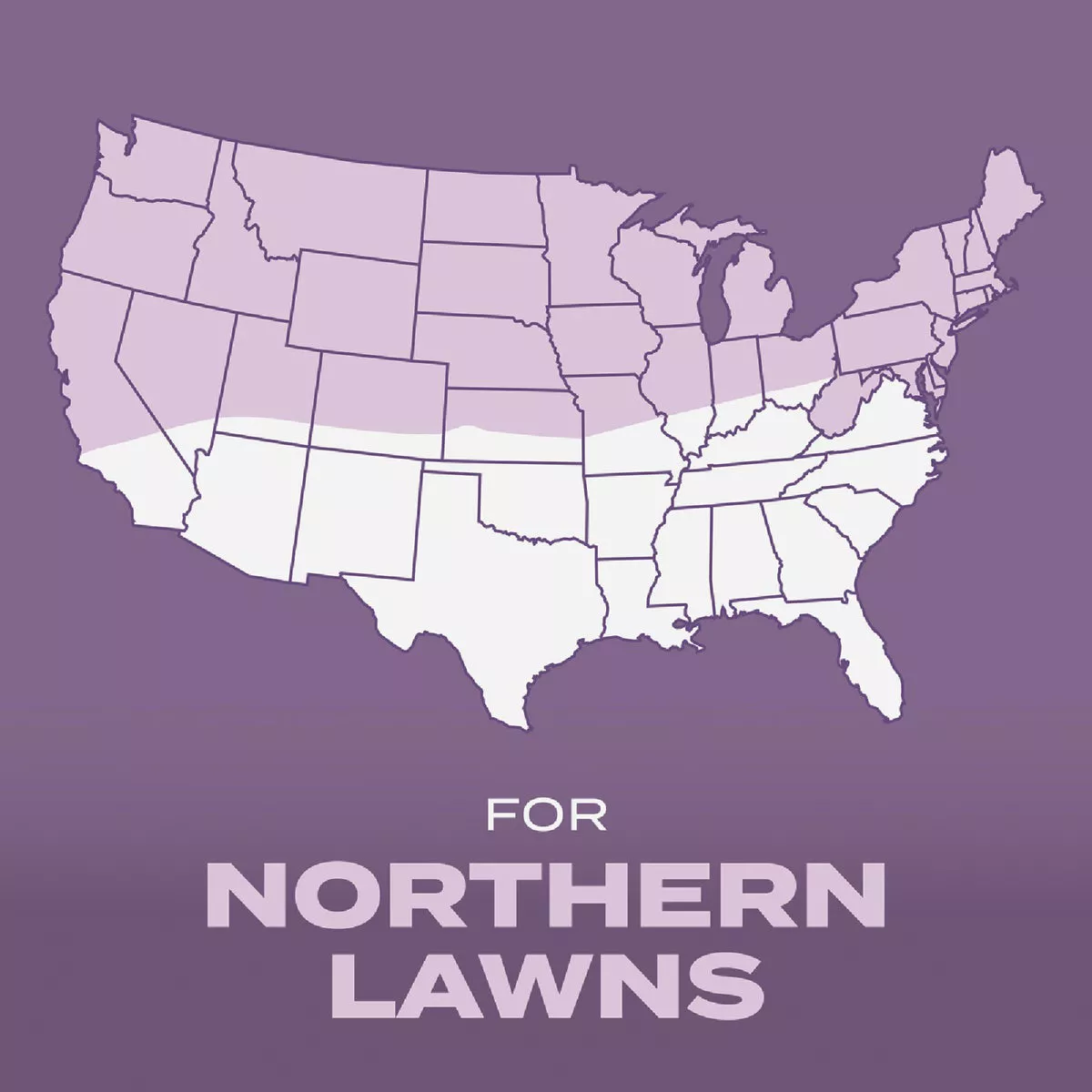 Scotts Turf Builder 2.4 Lb. 200 Sq. Ft. Perennial Ryegrass Mix Grass Seed, Fertilizer, and Soil Improver Combination - photo 9