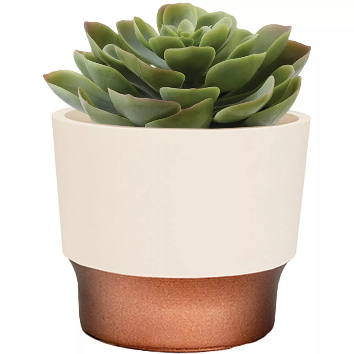 HC Companies Sprite 3 In. x 3 In. x 2.5 In. Resin Vanilla Bisque Succulent Pot - photo 2