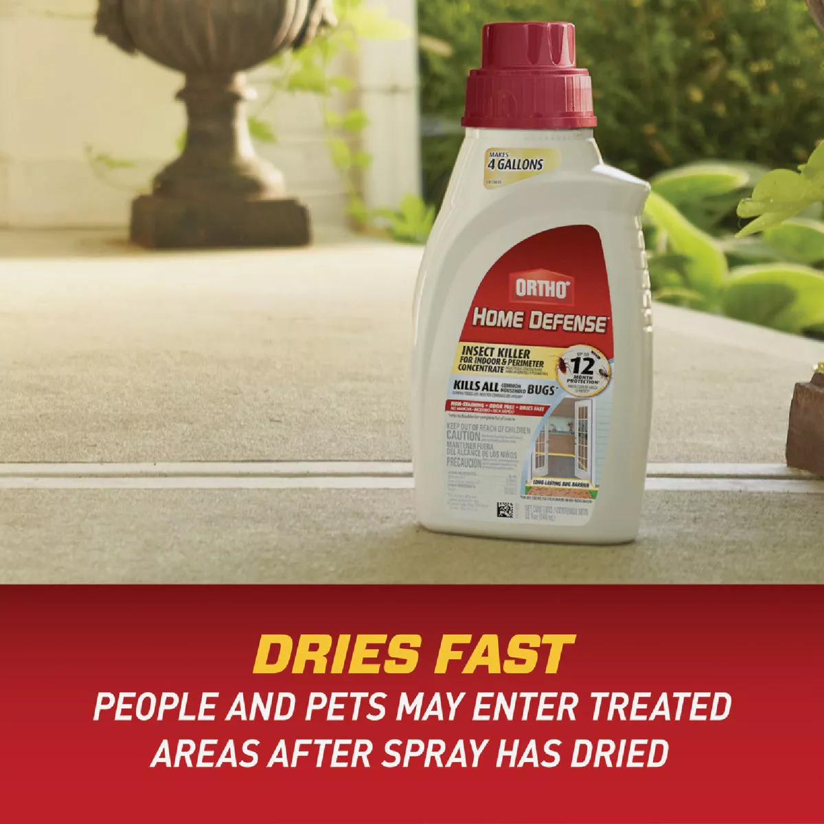 Ortho Home Defense 32 Oz. Indoor & Perimeter Insect Killer - photo 2
