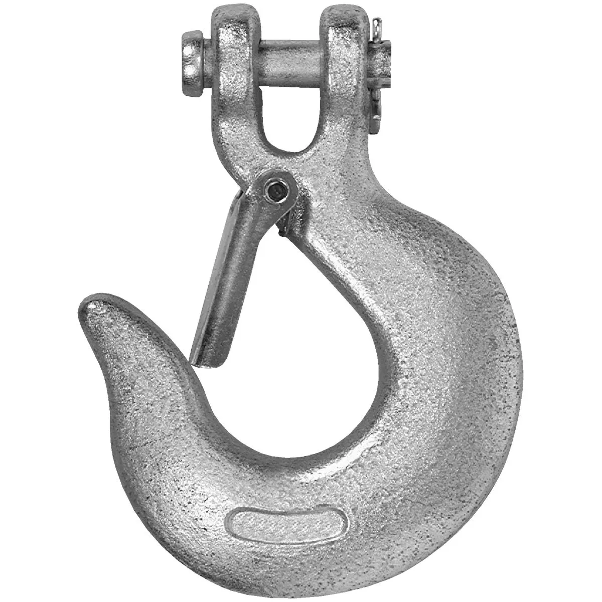 Campbell 5/16 In. Grade 43 Clevis Slip Hook With Latch