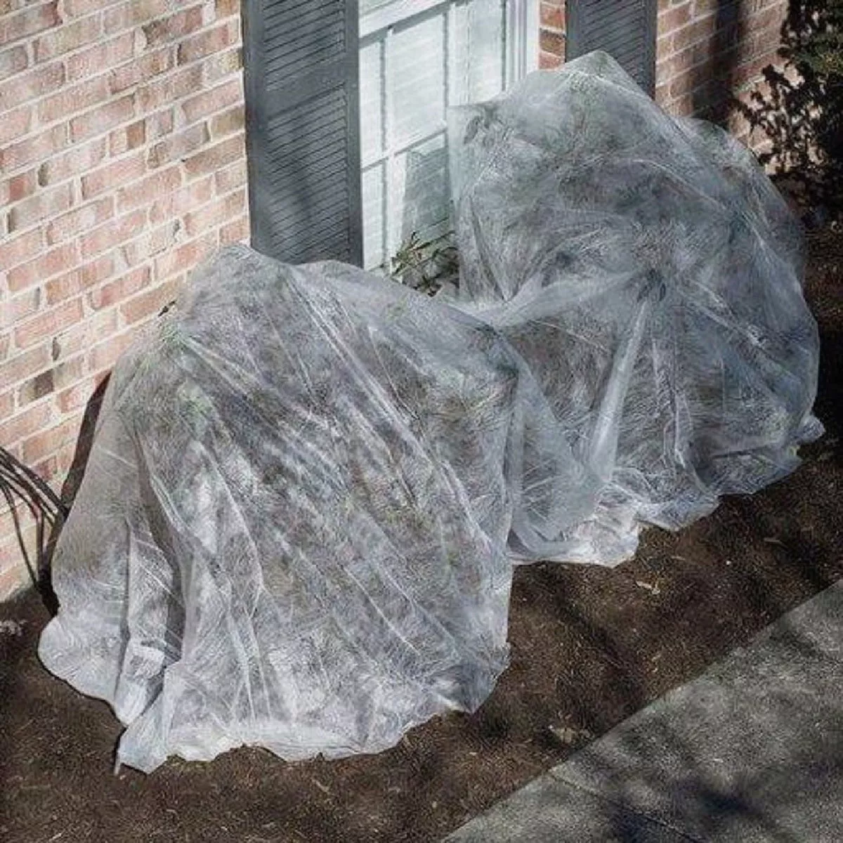 Dalen Insect Guard 5 Ft. x 40 Ft. Protective Garden Cover | Do it Best