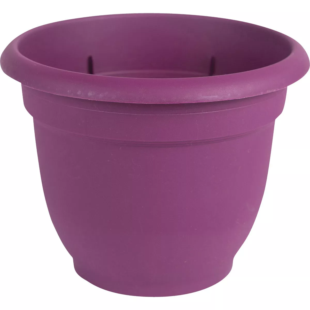 Bloem Ariana 13.75 In. H. x 16 In. Dia. Plastic Self Watering Passion Fruit Planter