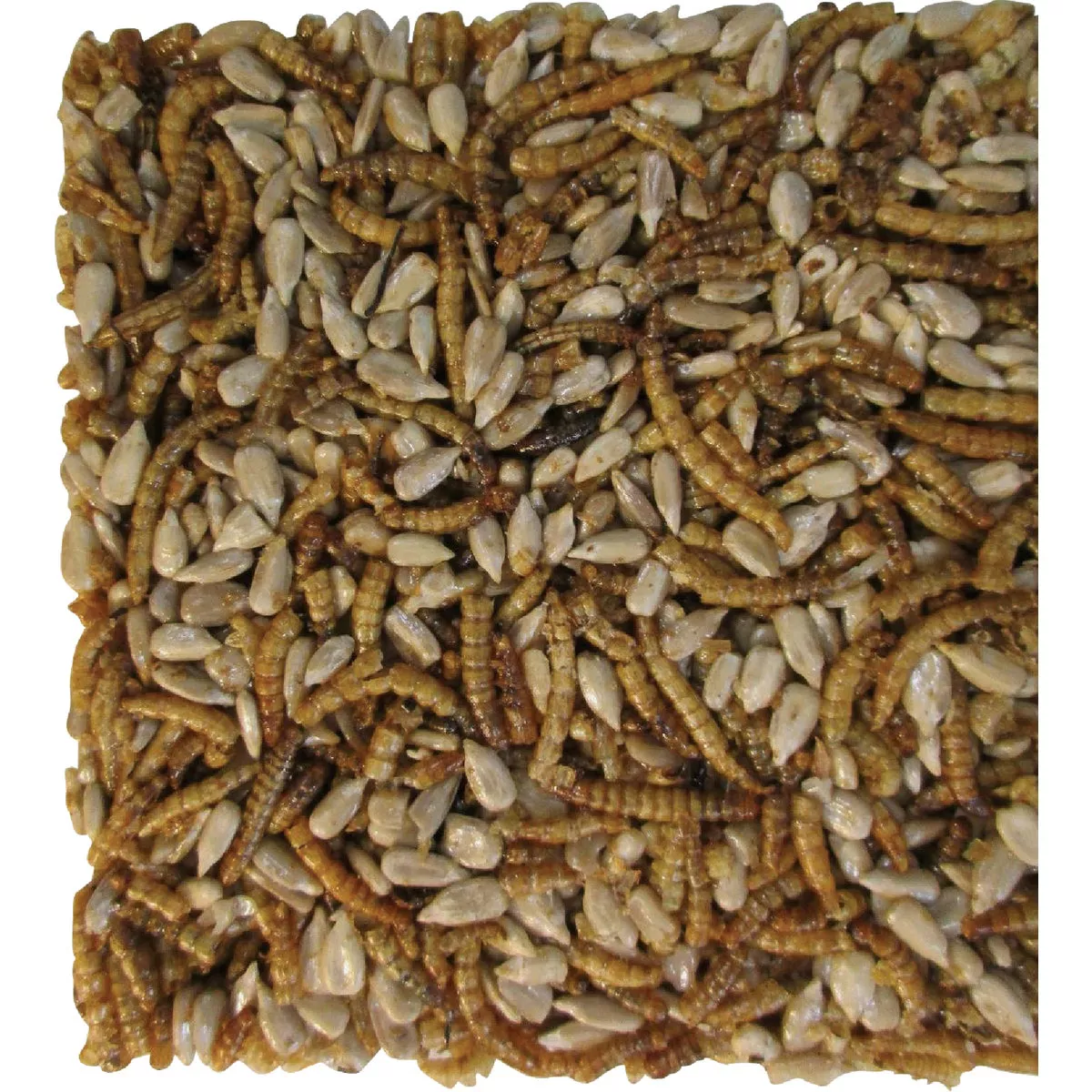 Pecking Order 4 Oz. Mini Mealworm Cake - photo 2
