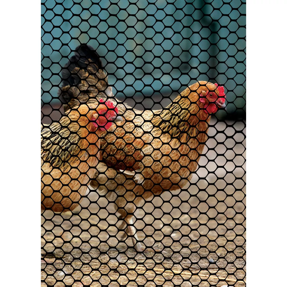 Tenax 3/4 In. x 3 Ft. H. x 25 Ft. L. Hexagonal Plastic Poultry Netting Fence, Black - photo 4