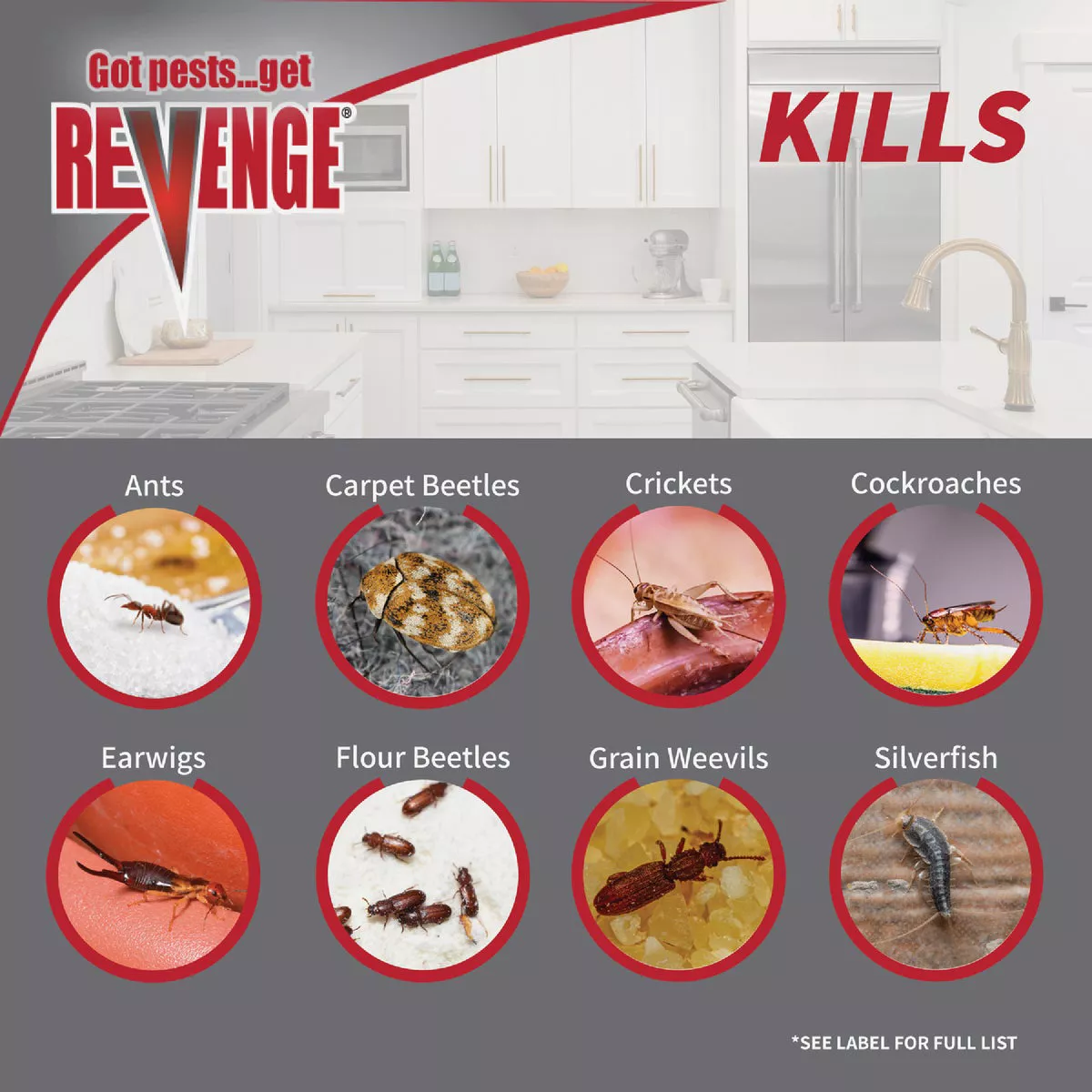 REVENGE Invisible Roach Bait with Puffer Applicator - photo 5