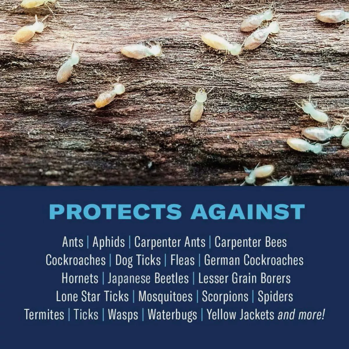 BioAdvanced Carpenter Ant & Termite Killer Plus 1 Gal. Ready To Use Ant & Termite Killer - photo 2