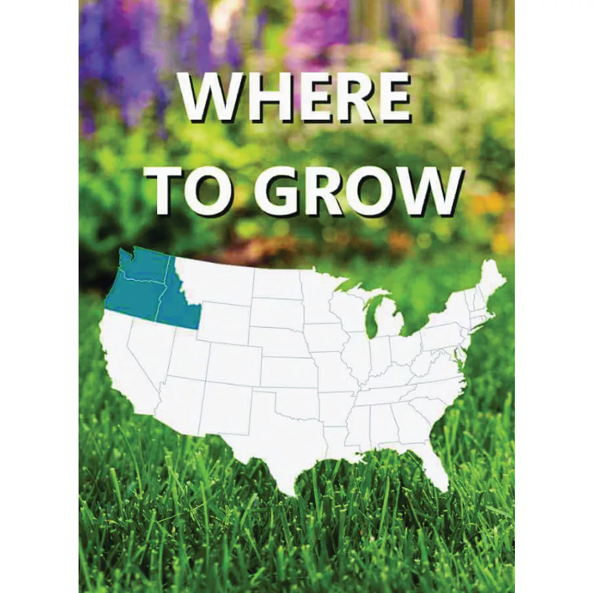 Jonathan Green Black Beauty Pacific Northwest 7 Lb. 5250 Sq. Ft. Coverage Tall Fescue Grass Seed - photo 2