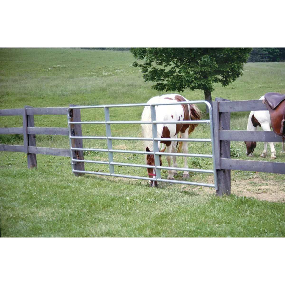Tarter 50 In. H. x 12 Ft. L. x 1-3/4 In. Tube Diameter Galvanized Tube ...