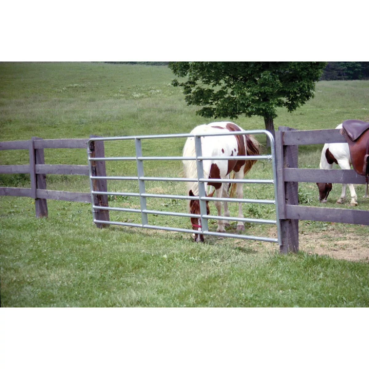 Tarter 50 In. H. x 16 Ft. L. x 1-3/4 In. Tube Diameter Galvanized Tube Gate - photo 2