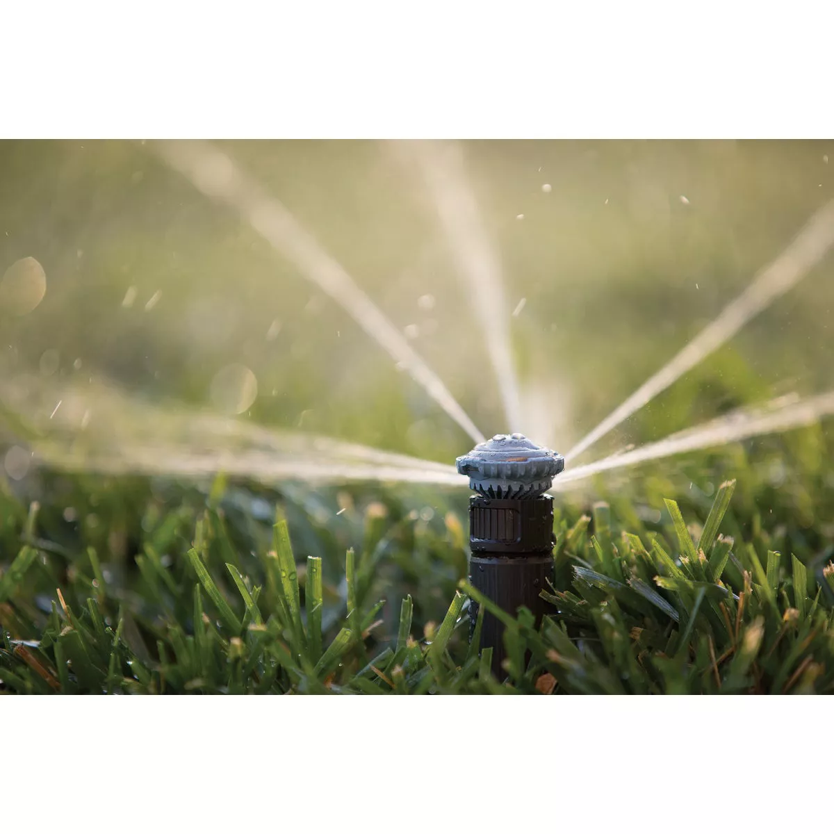 Rain Bird High Efficiency Adjustable Pattern Rotary Nozzle - photo 2