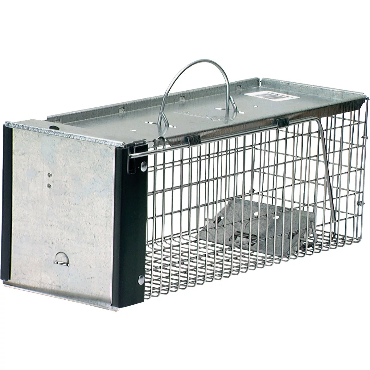 Rent Animal Traps