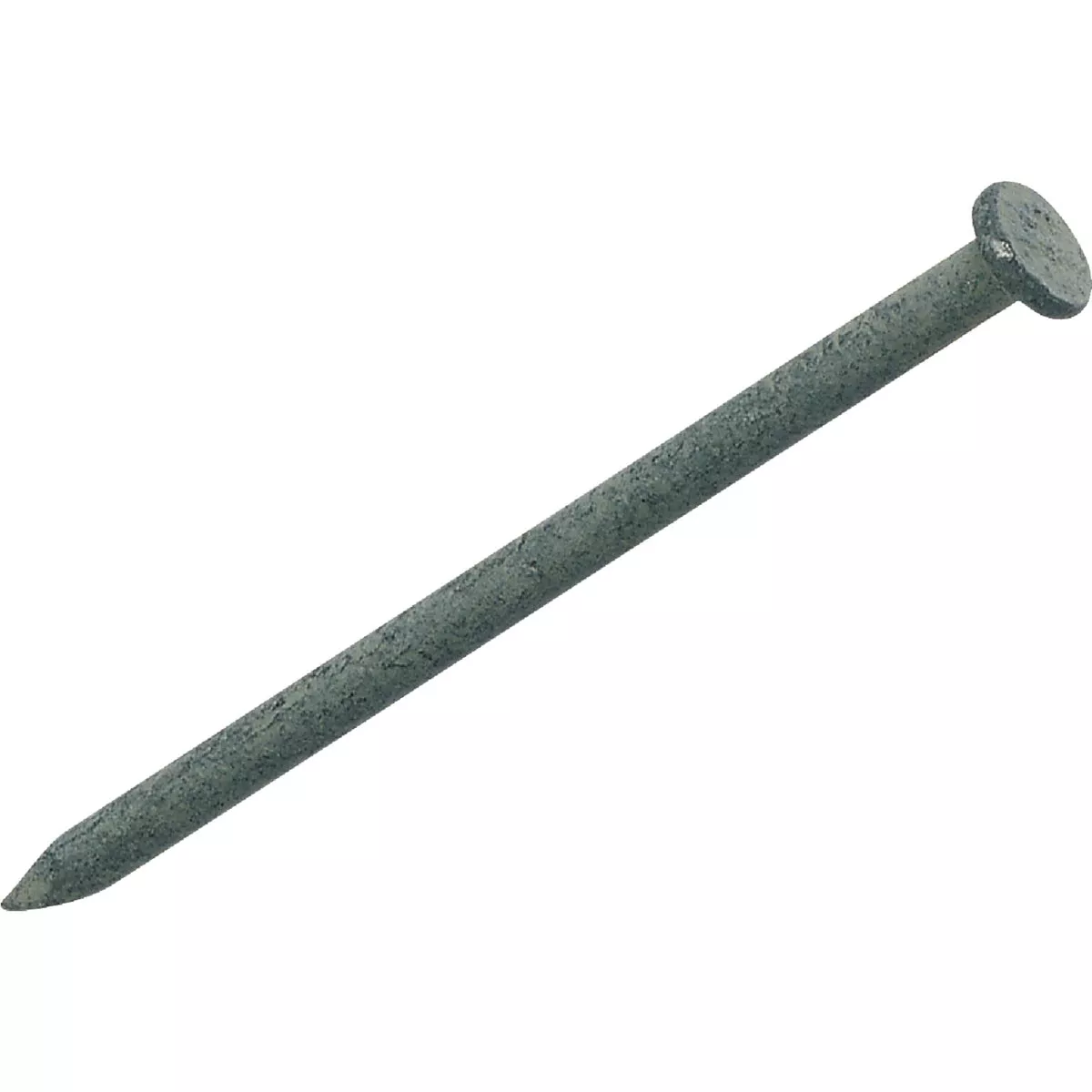 Do it Best 5 In. x 4 ga x 40d Hot Galvanized Common Nails (850 Ct., 50 Lb.)
