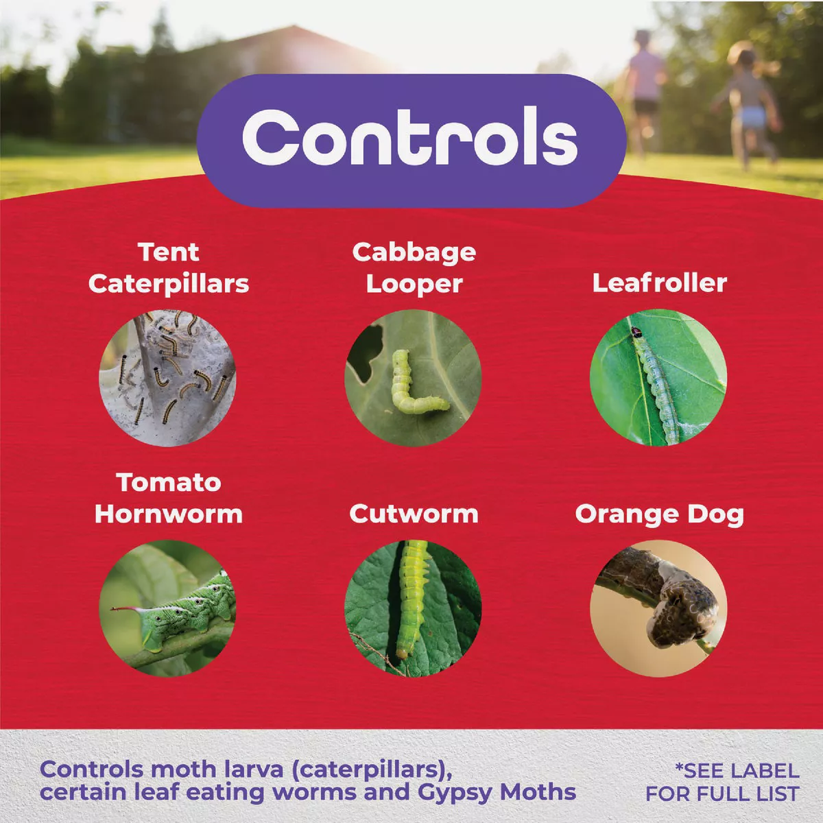 Bonide Thuricide BT 16 Oz. Concentrate Caterpillar, Worm, & Moth Control - photo 3