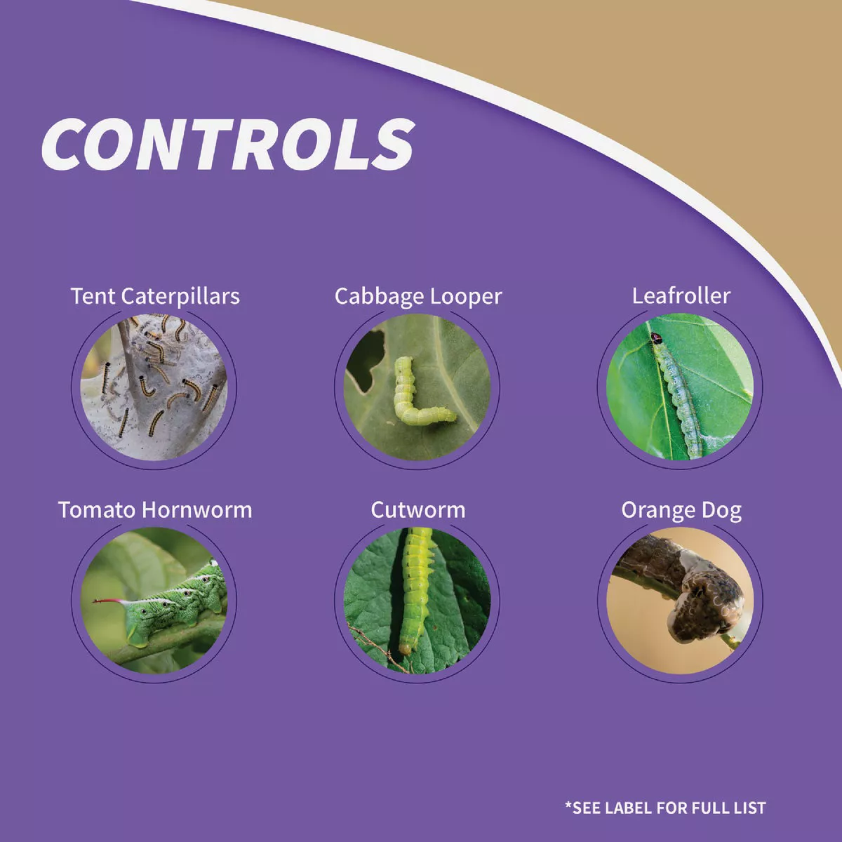 Bonide Thuricide BT 16 Oz. Concentrate Caterpillar, Worm, & Moth Control - photo 5