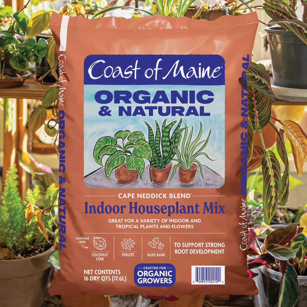 Coast of Maine Cape Neddick Blend 16 Qt. Indoor Houseplant Mix - photo 2