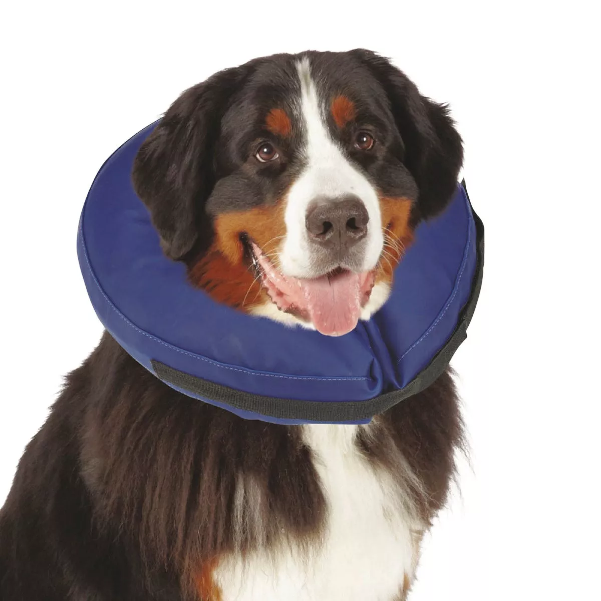 Total Pet Health XL Blue Inflatable Pet Collar - photo 2