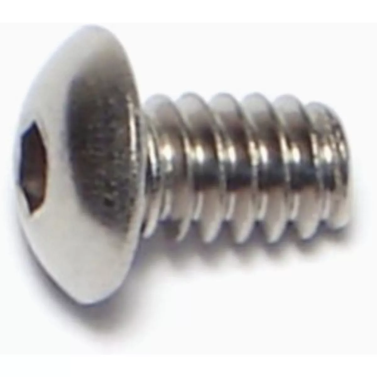 Midwest Fastener #6-32 x 1/4 In. 18-8 Stainless Steel Coarse Thread Button Head Socket Cap Screws (20 Ct.)-