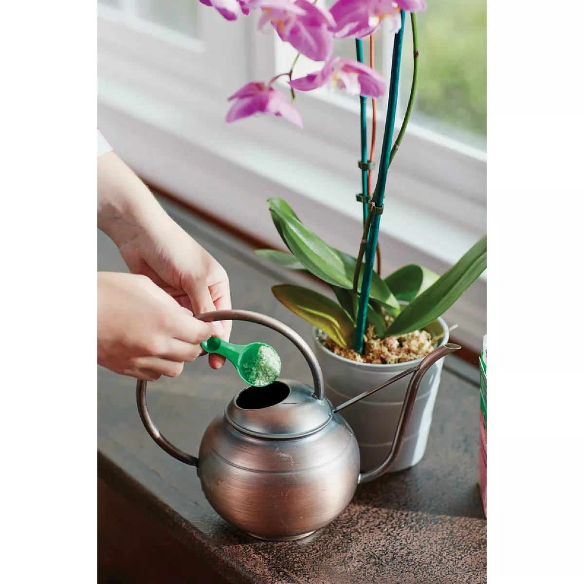Miracle-Gro 8 Oz. Water Soluble Orchid Food - photo 5