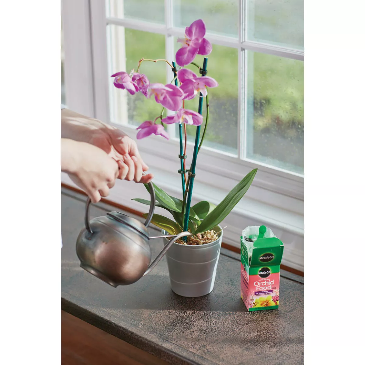 Miracle-Gro 8 Oz. Water Soluble Orchid Food - photo 3
