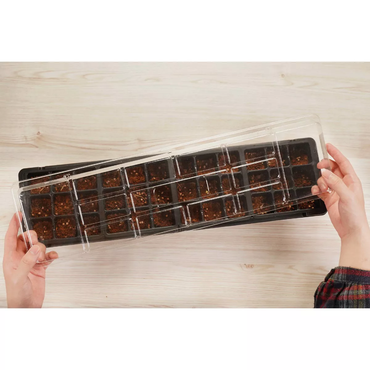 PlantBest 36-Cell Plastic Windowsill Greenhouse Seed Starter Kit - photo 4