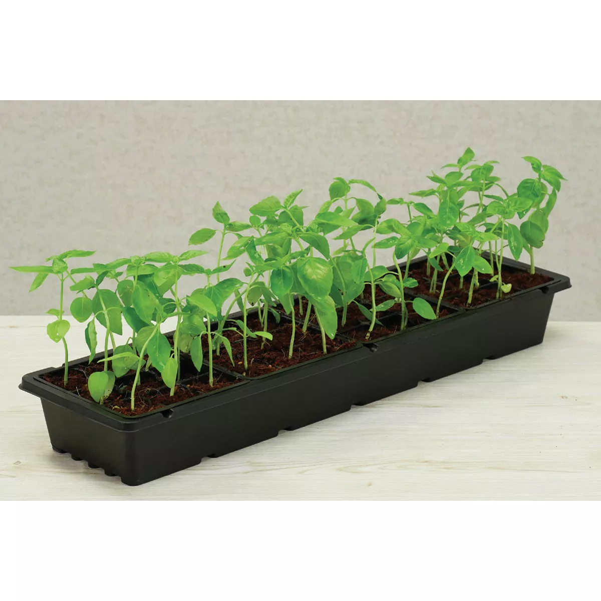 PlantBest 36-Cell Plastic Windowsill Greenhouse Seed Starter Kit - photo 3