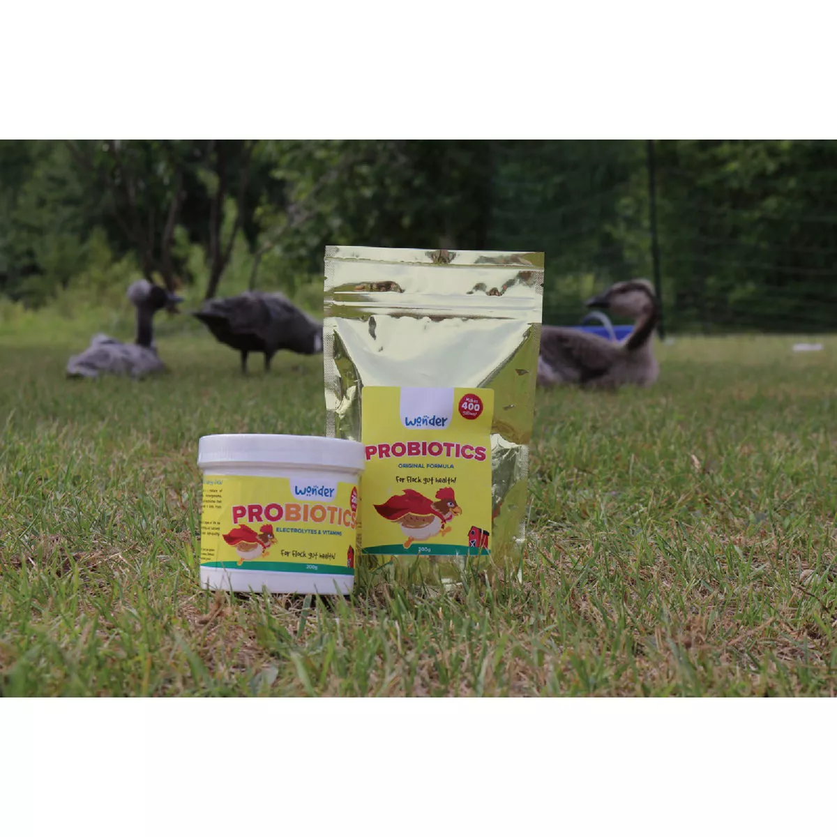Wonder 200G Concentrate Probiotics - photo 4
