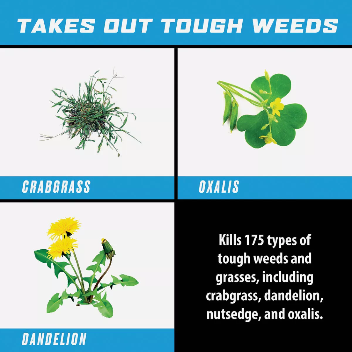 Ortho GroundClear Super 1 Gal. Trigger Spray Weed & Grass Killer - photo 2