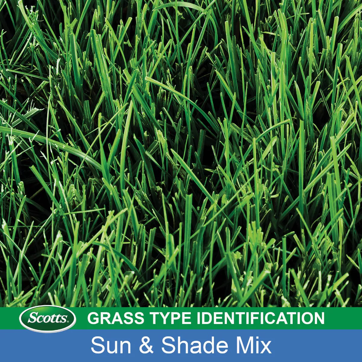 Scotts Turf Builder 20 Lb. 8000 Sq. Ft. Sun & Shade Mix Grass Seed - photo 4