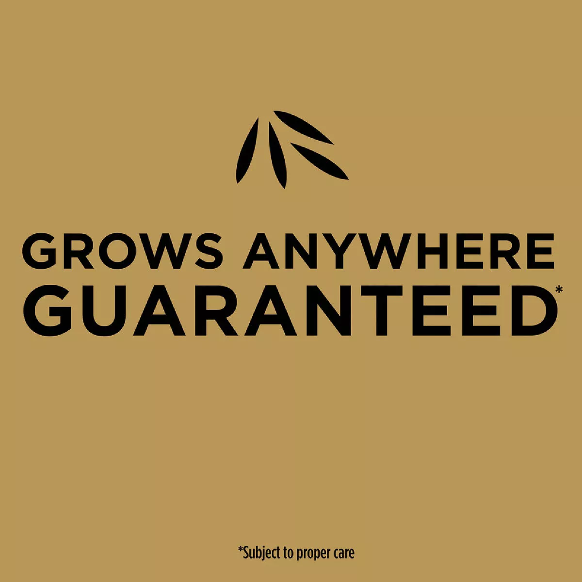 Scotts EZ Seed 3.75 Lb. 85 Sq. Ft. Patch & Repair Sun and Shade Mulch, Seed and Fertilizer Combination - photo 3