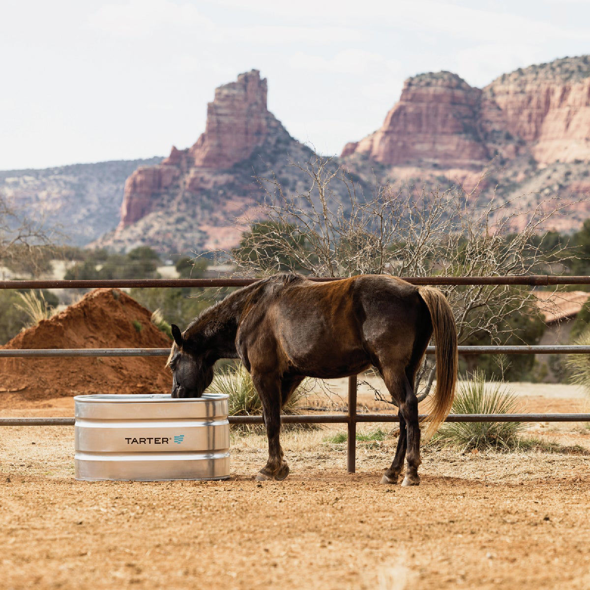 Tarter 100 Gal. ZincCoated Steel Galvanized Stock Tank Do it Best