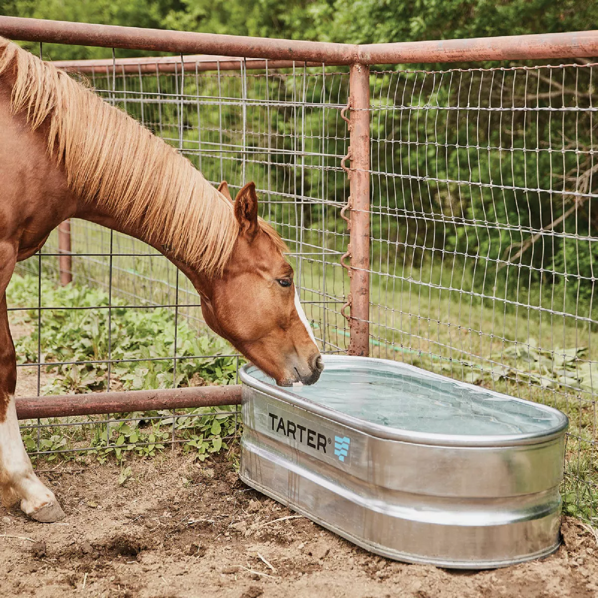 Tarter 40 Gal. Zinc-Coated Steel Galvanized Stock Tank - photo 2