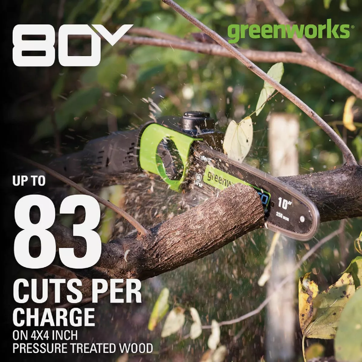 Greenworks 80V 10 In. Brushless Pole Saw with 2.0 Ah Battery & Charger - photo 4