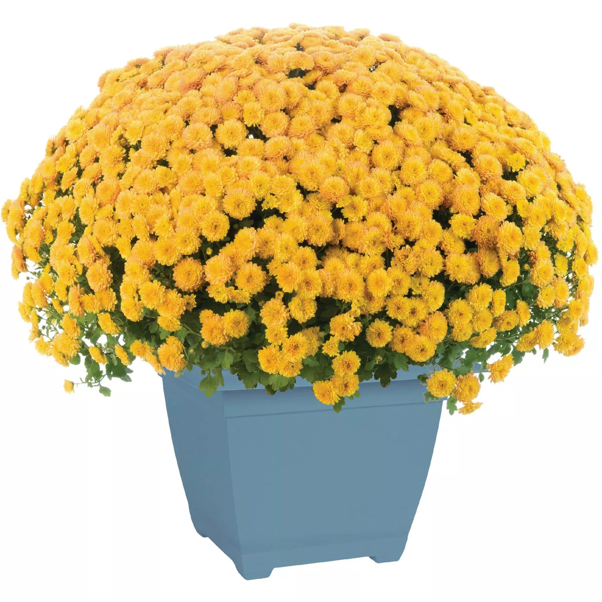 Bloem Ocean Series Dayton 11.13 In. H. x 15 In. W. Recycled Ocean Plastic Ocean Blue Square Planter - photo 2