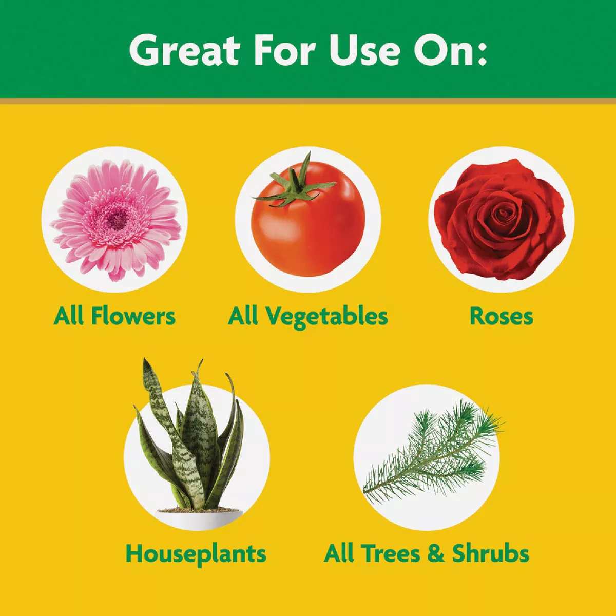 Miracle-Gro 10 Lb. Water Soluble All Purpose Plant Food - photo 4