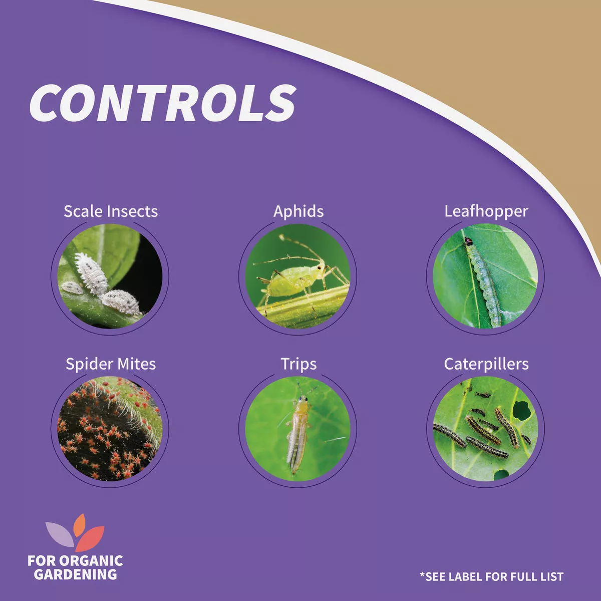 Bonide All Seasons 32 Oz. Ready To Spray Hose End Dormant Horticultural Oil - photo 5