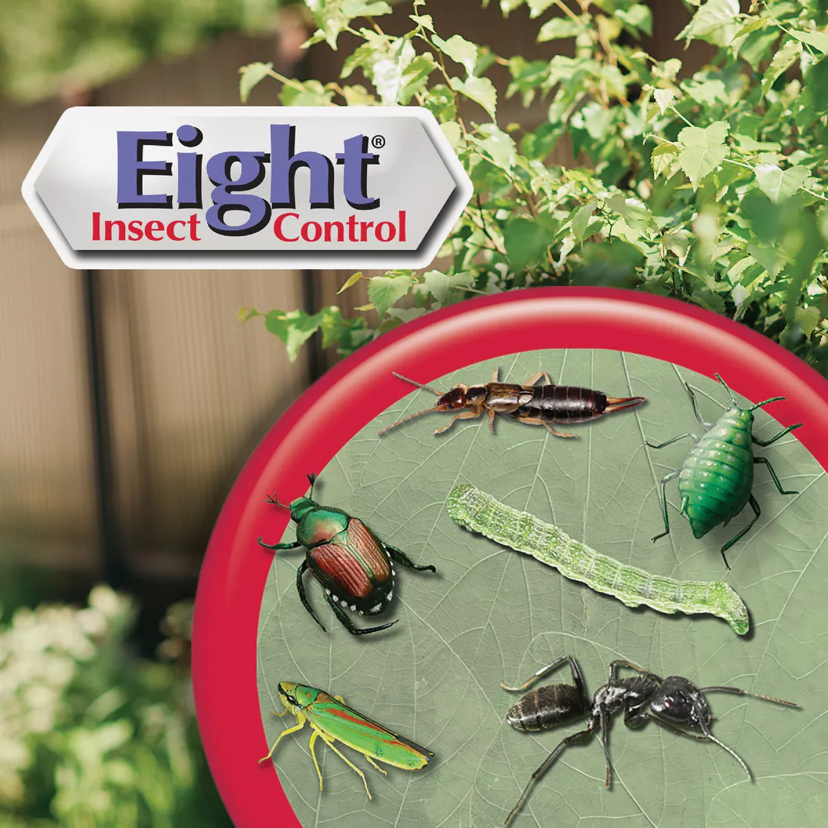 Bonide Eight 32 Oz. Ready To Use Trigger Spray Garden & Home Insect Control - photo 5