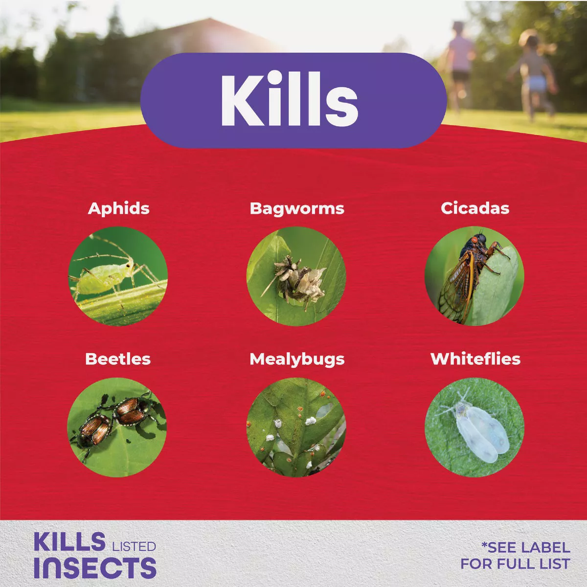 Bonide Eight 3 Lb. Ready To Use Insect Control Garden Dust - photo 3