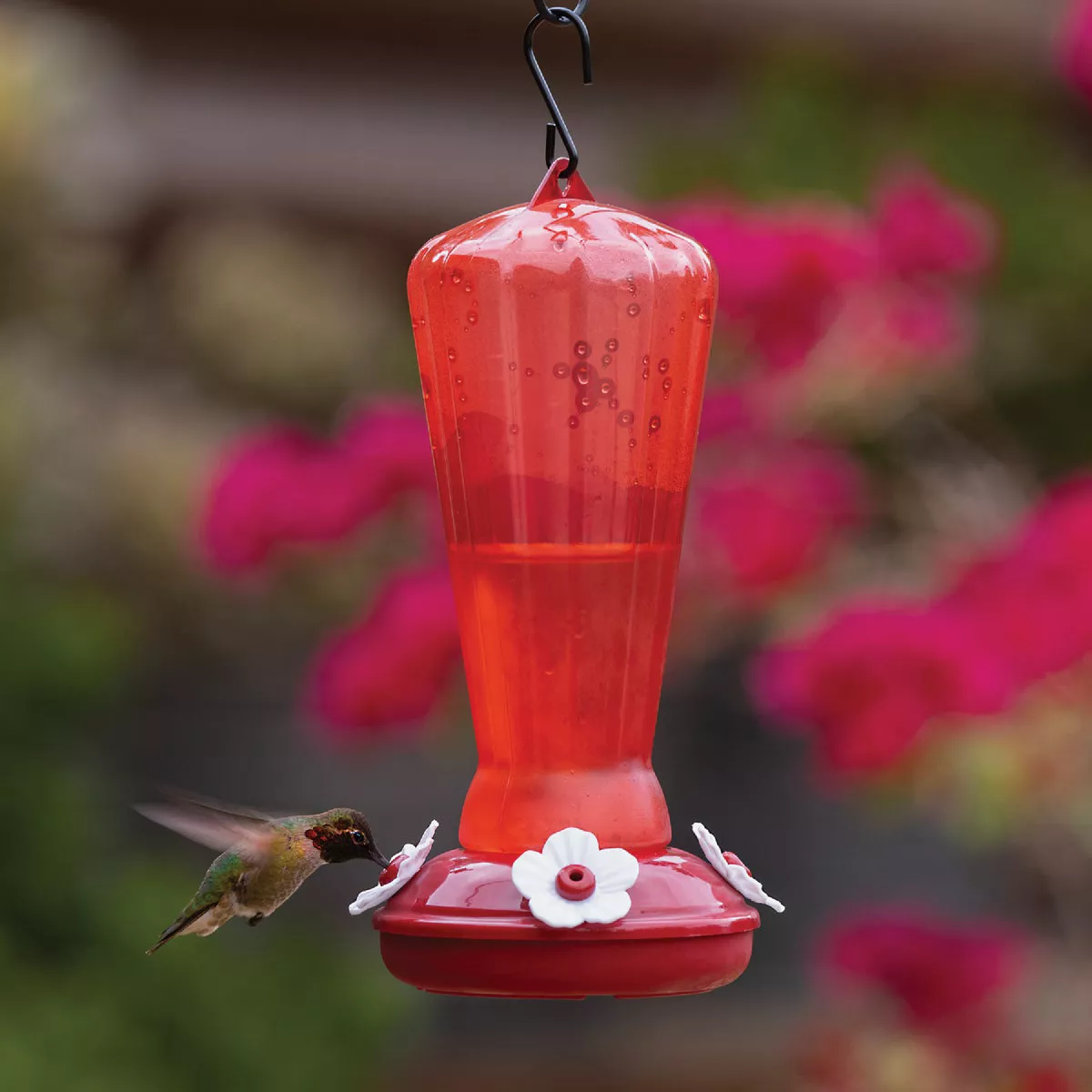 More Birds 25 Oz. Plastic Hollyhock Hummingbird Feeder - photo 3