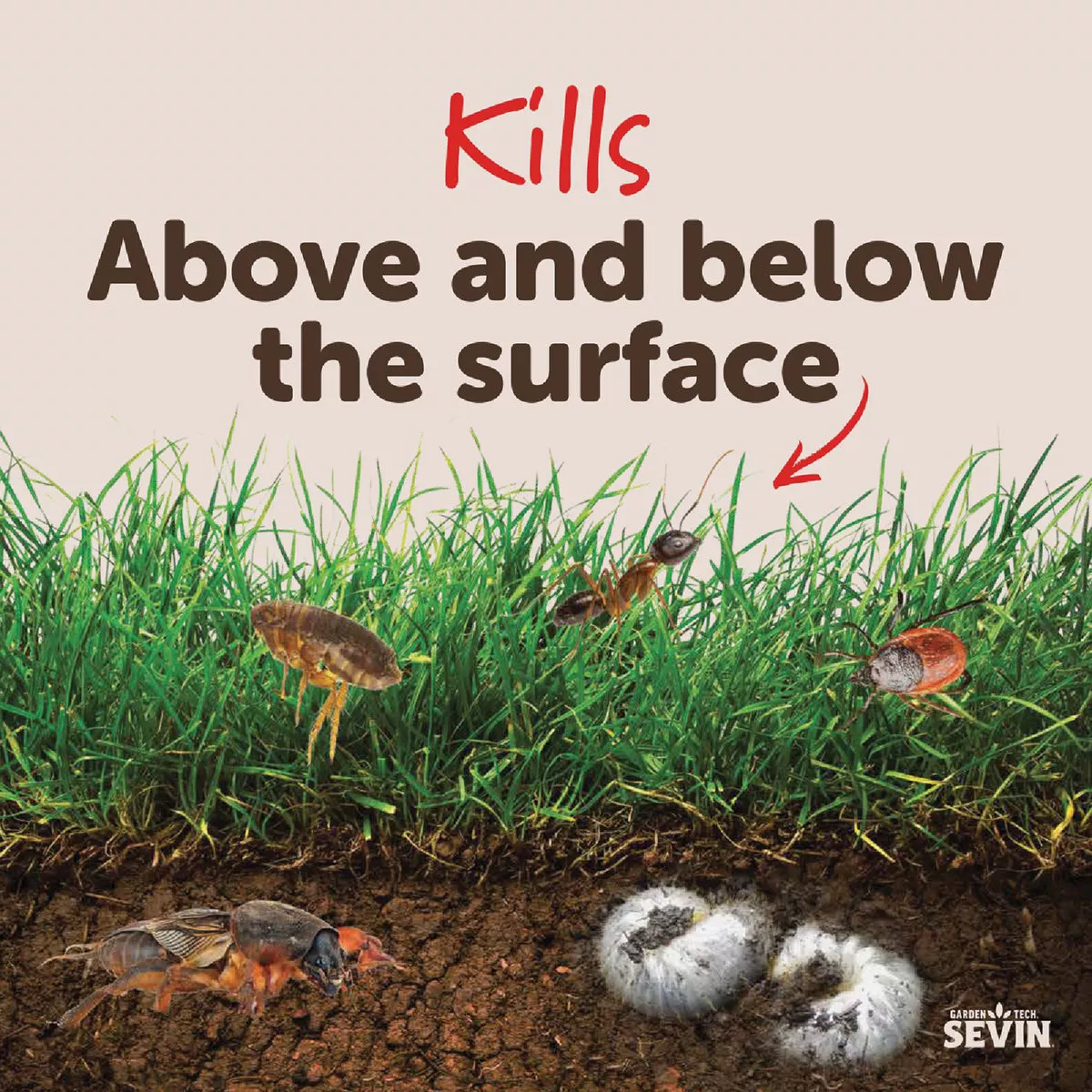 Garden Tech Sevin 10 Lb. Ready To Use Granules Lawn Insect Killer - photo 6