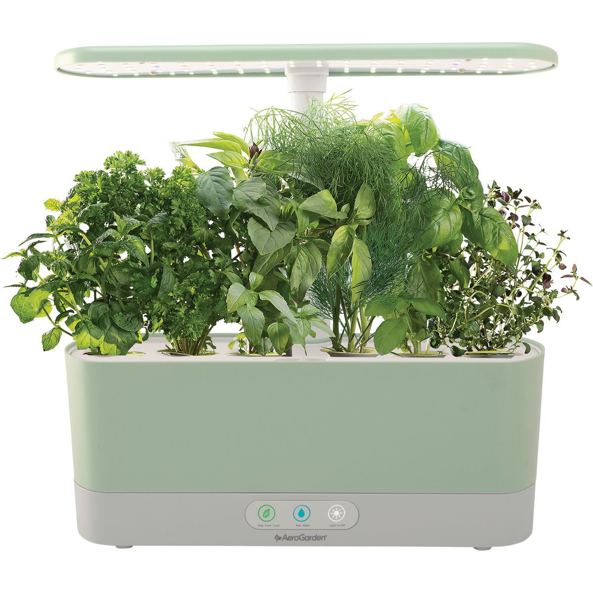 AeroGarden Harvest Elite 360 Indoor Garden - Thumbnail 5