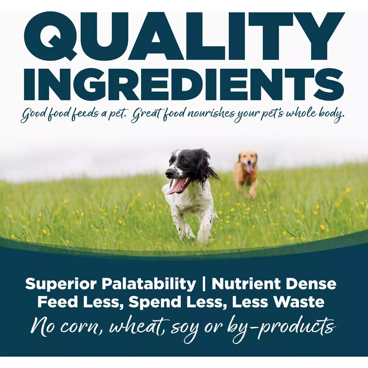 NutriSource 4 Lb. Chicken & Rice Recipe Small Bites Dog Food - photo 4