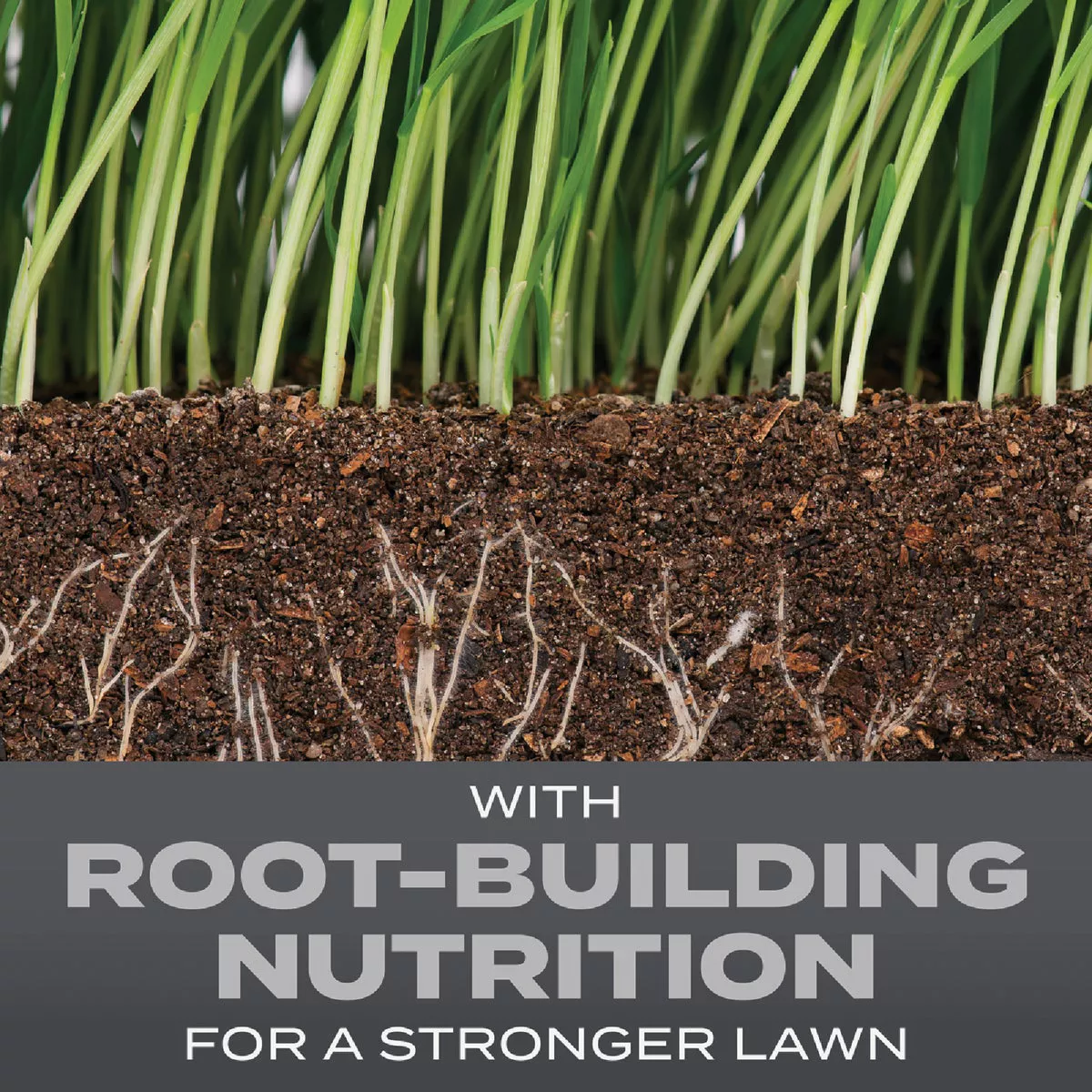 Scotts Turf Builder 5.6 Lb. 465 Sq. Ft. Pacific Northwest Mix Grass Seed, Fertilizer, and Soil Improver Combination - photo 5