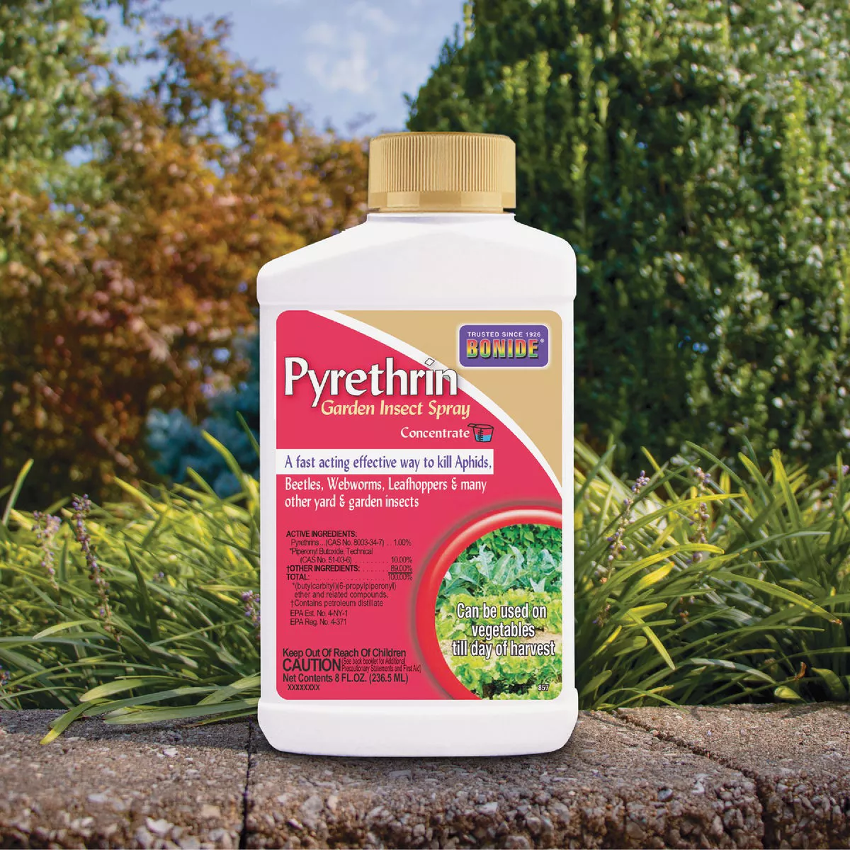 Bonide 8 Oz. Concentrate Pyrethrin Garden Insect Spray - photo 7