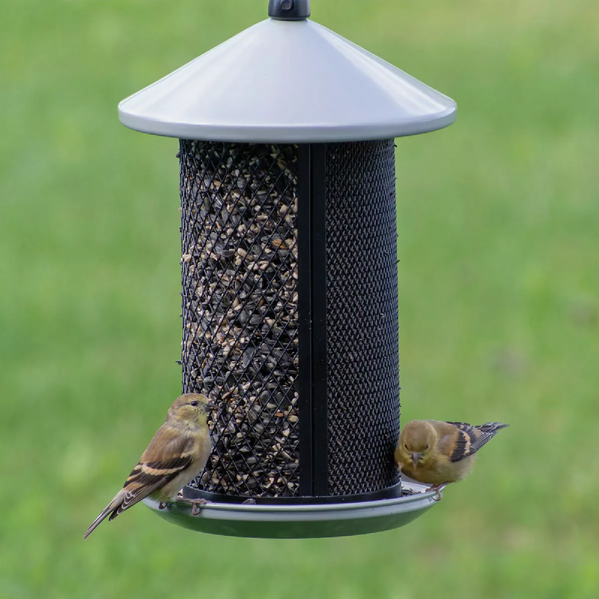 Perky-Pet Gray Dual Mesh Seed Feeder - photo 2