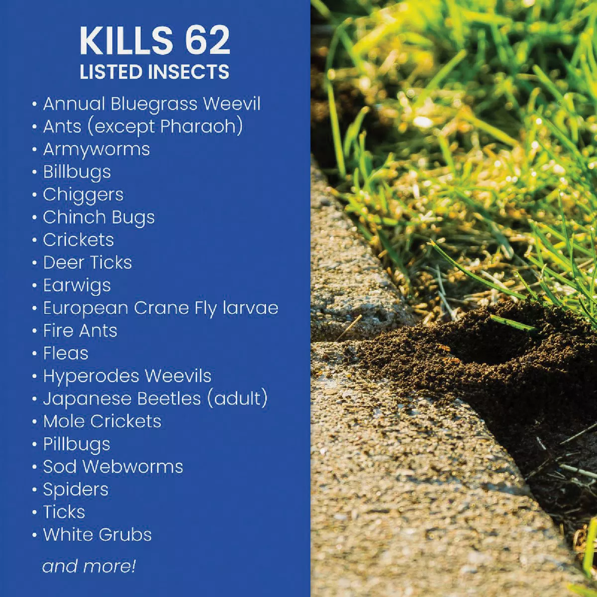 BioAdvanced Complete 32 Oz. Ready To Spray Hose End Insect Killer - photo 2