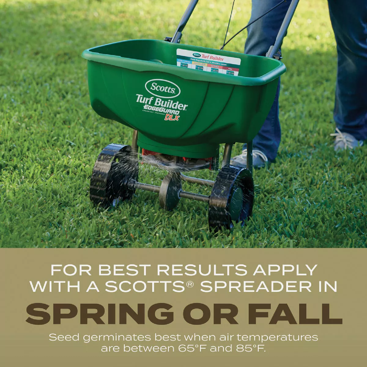 Scotts Turf Builder 2.4 Lb. 200 Sq. Ft. Southern Gold Mix for Tall Fescue Lawns Grass Seed - photo 4