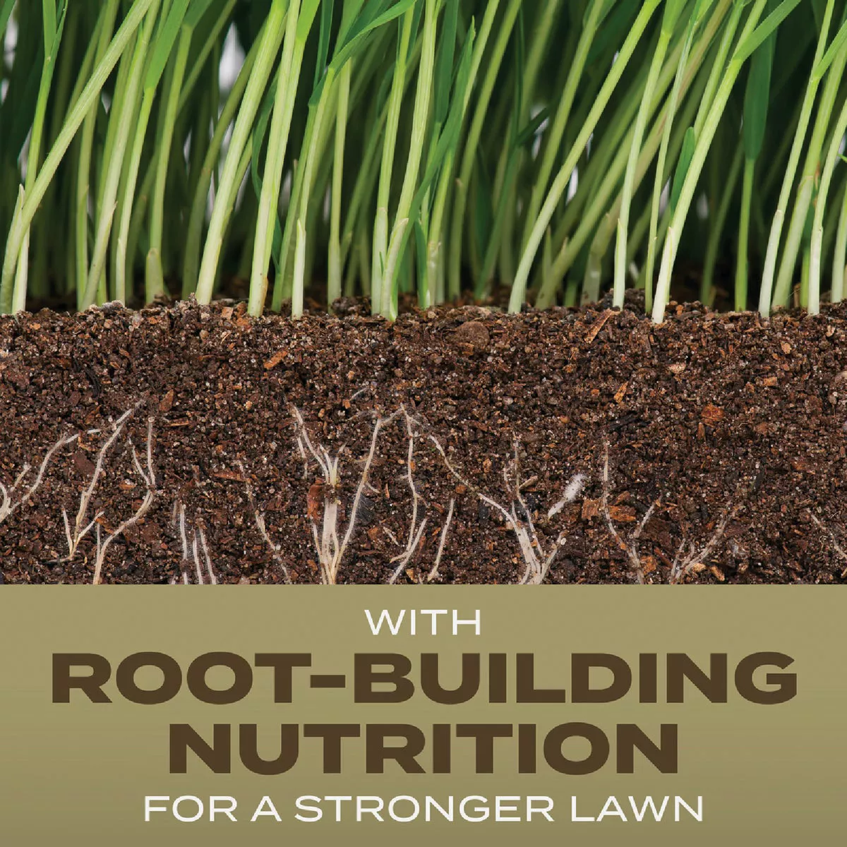 Scotts Turf Builder 2.4 Lb. 200 Sq. Ft. Southern Gold Mix for Tall Fescue Lawns Grass Seed - photo 2