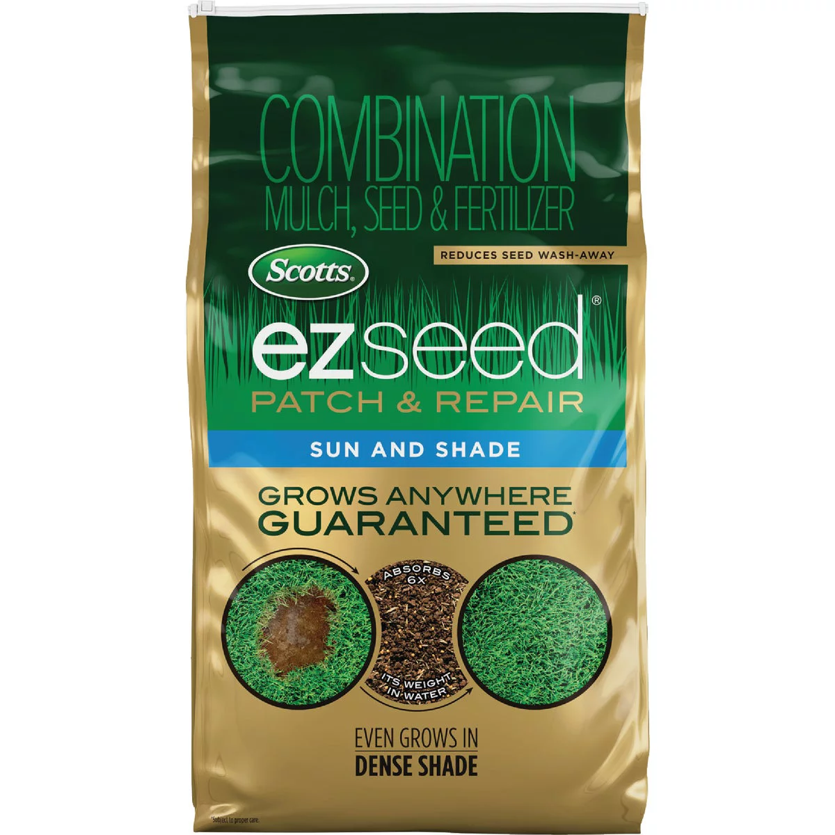 Seeds