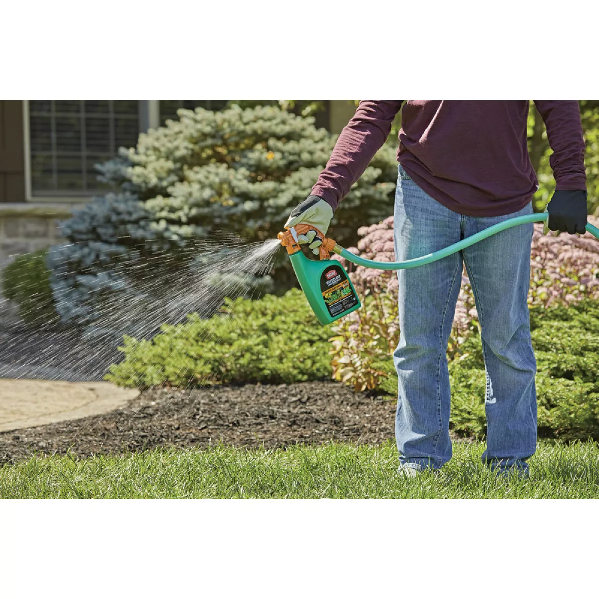 Ortho WeedClear 32 Oz. Ready-To-Use Spray Hose End Lawn Weed Killer - photo 2